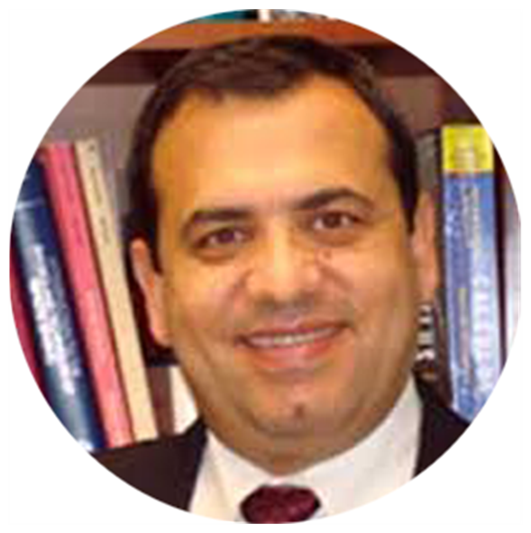 Prof. Issa Batarseh